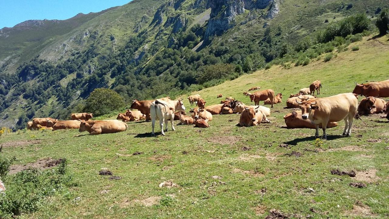 Felechosa Ski & Senderismo Luaran gambar